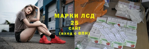 apvp Тайга