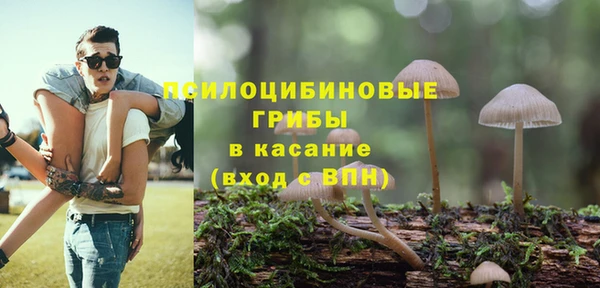 меф Белокуриха