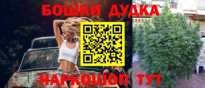 спайс Берёзовский