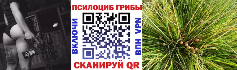 дарк нет как зайти  Воскресенск  Псилоцибиновые грибы мухоморы 