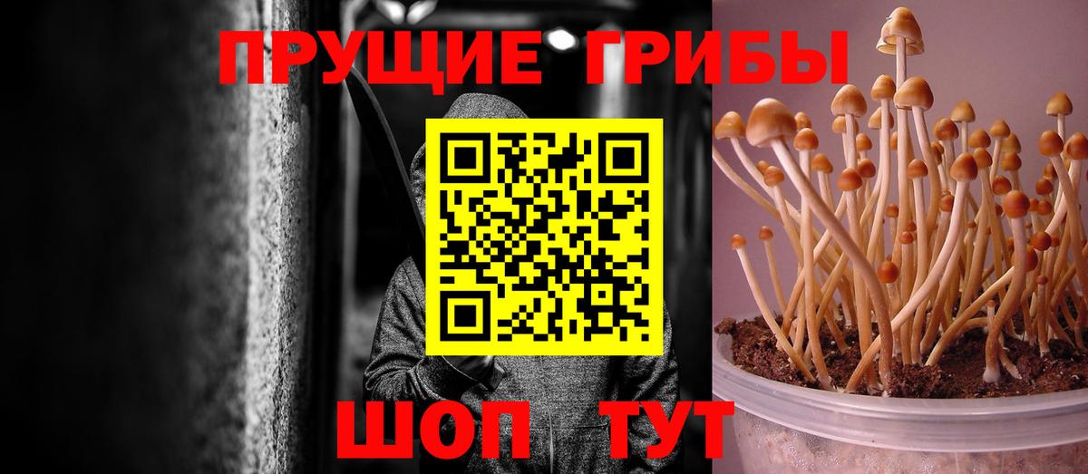 Воскресенск  Псилоцибиновые грибы MAGIC MUSHROOMS  Вход с VPN  Псилоцибиновые грибы мухоморы 
